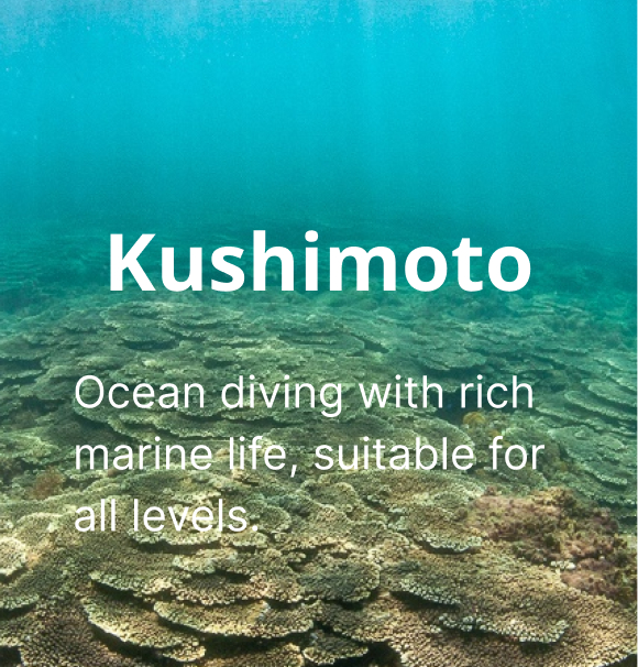 Small Groups, Personal Attention