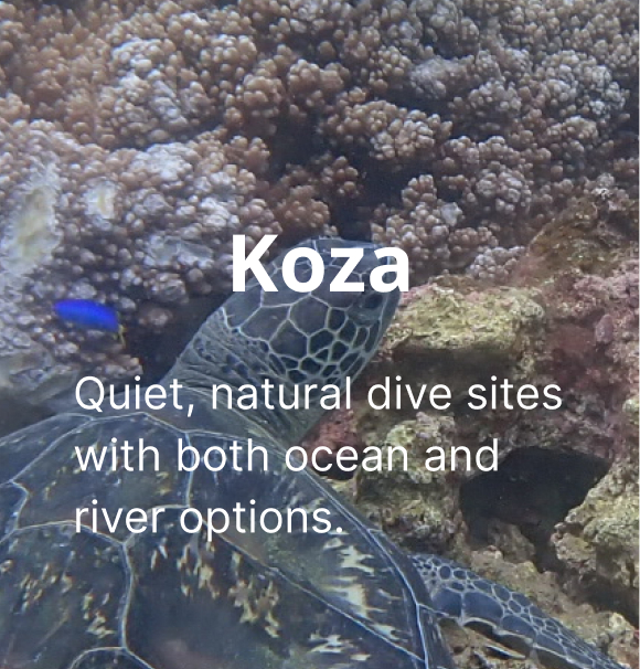 Flexible Guiding, Your Style