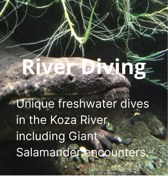 Clear Communication & Peace of Mind