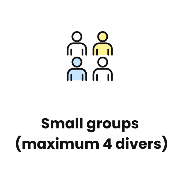 Small groups(maximum 4 divers)