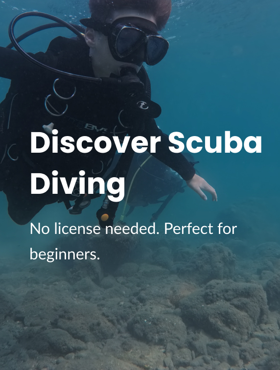 Discover Scuba Diving No license needed. Perfect for beginners.