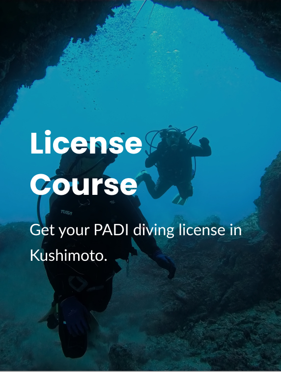 License Course Get your PADI diving license in Kushimoto.