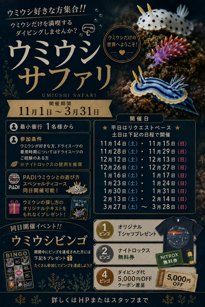 ウミウシサファリの告知ポスター