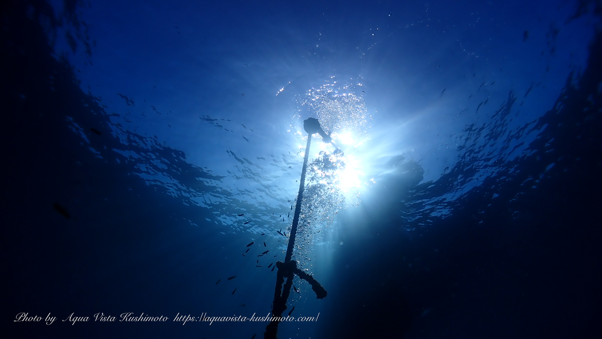 Drysuit diving in Kushimoto